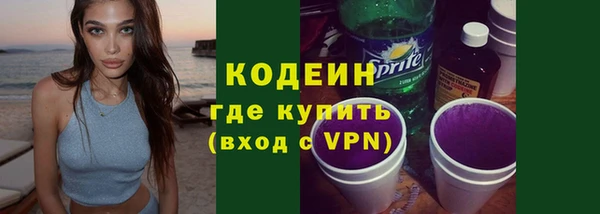 крисы Мегион