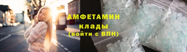 крисы Мегион