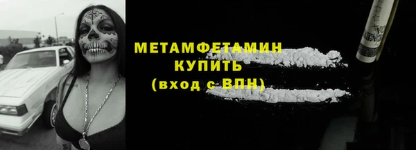 крисы Мегион