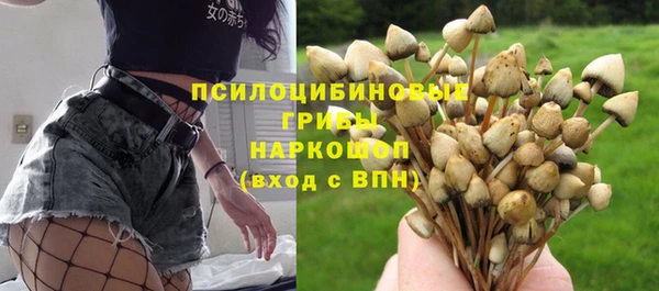 крисы Мегион