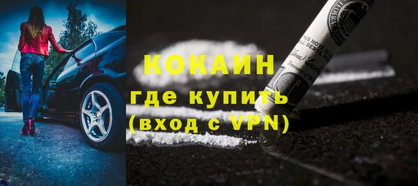 крисы Мегион