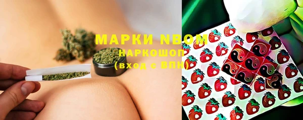 крисы Мегион